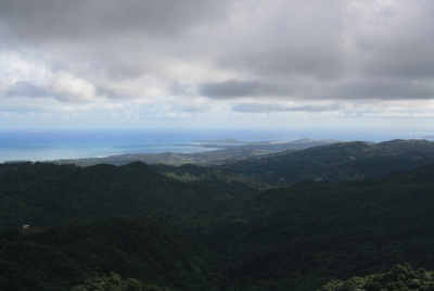 Puerto Rico El Yunque Rain Forest